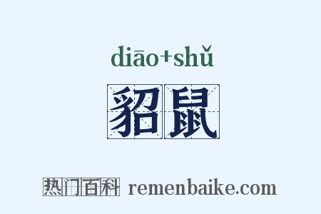 貂鼠是什么意思的图片